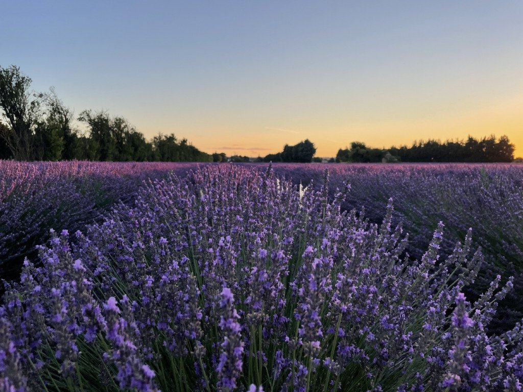 Image du partenaire Bourdelin / Earl la Fougasse